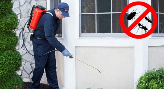 Kartepe Kene İlaçlama böcek ilaçlama ve haşere kontrolü — ilaclama-tr.com